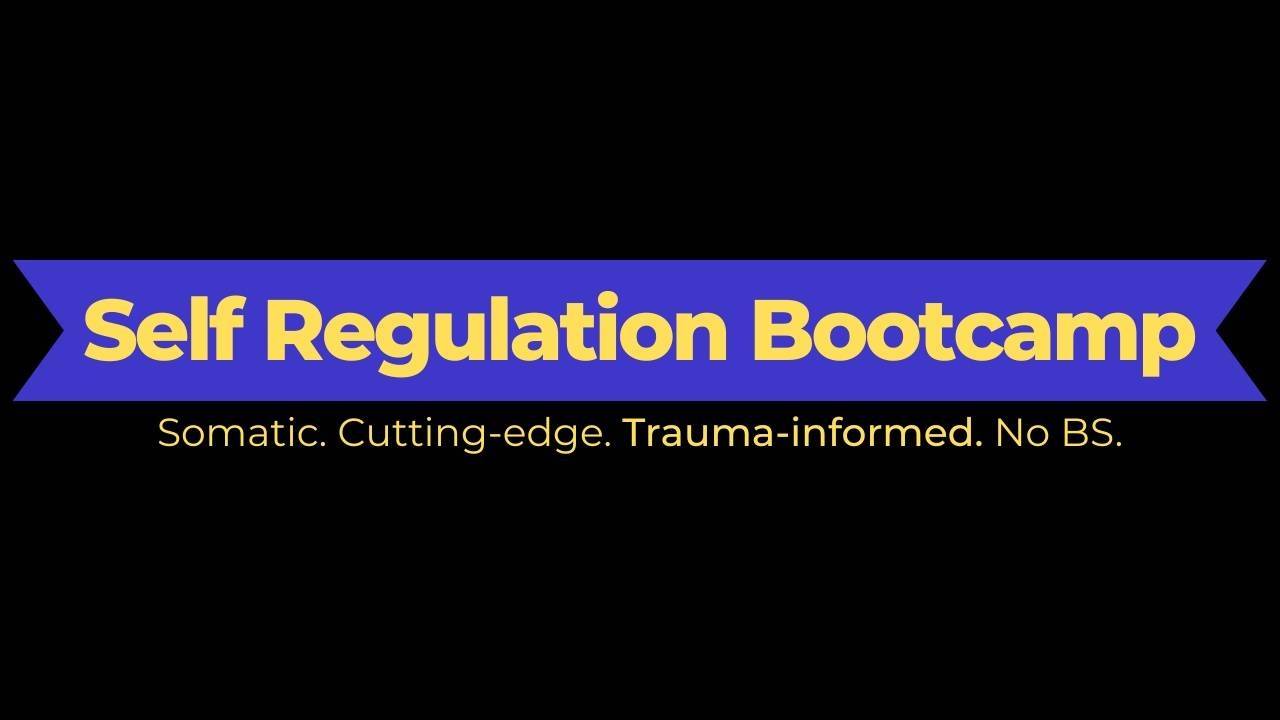 Self Regulation Bootcamp